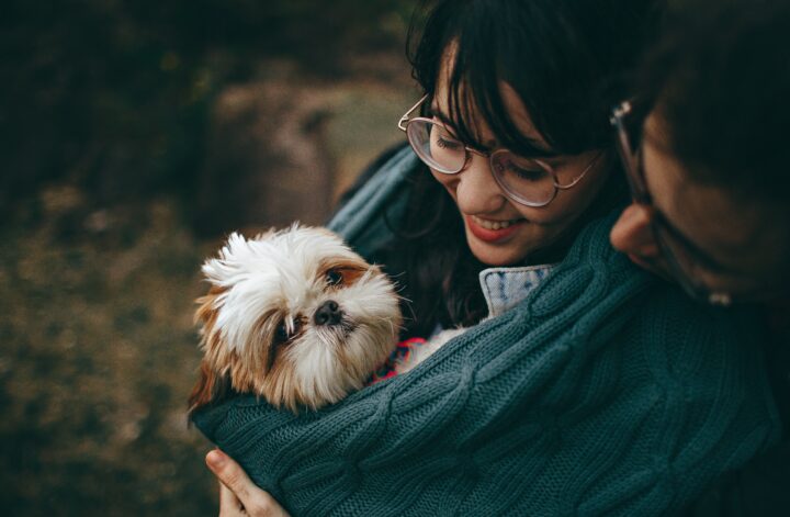 Dog adoption