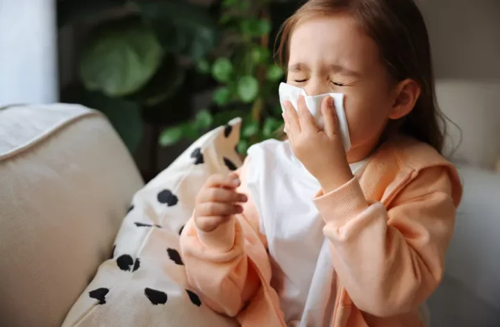 Little Girl Sneezing